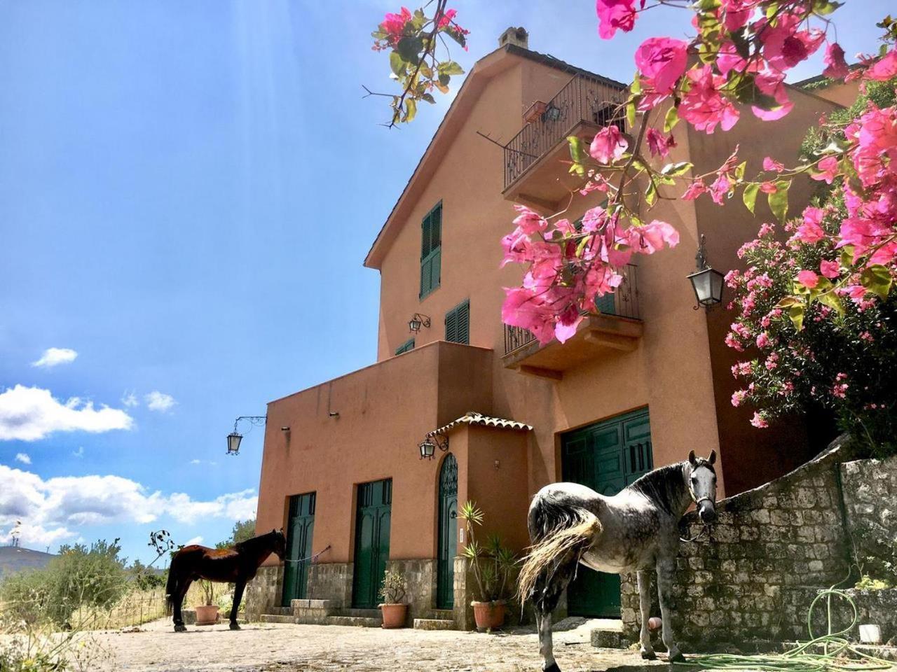 Country Room Sicily - Agrigentoholidays Eksteriør bilde